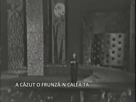 Constantin Drăghici - A căzut o frunză-n calea ta