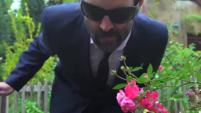 EELS - Peach Blossom