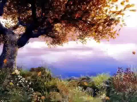 Isaac Shepard - Leaves in the Wind