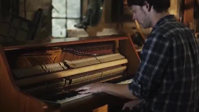 Mammal Hands - Boreal Forest