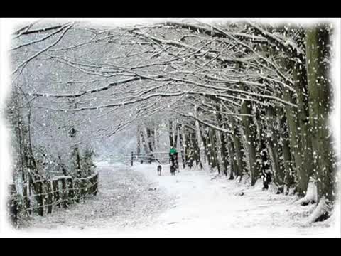 Michael Franks - Watching the Snow