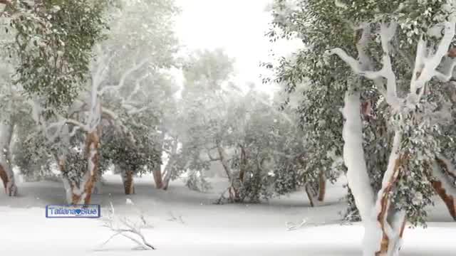 Paul Mauriat - Tombe La Neige