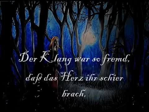 Shei - Der verzauberte Wald