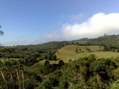 Sérgio Reis - Filho Pródigo