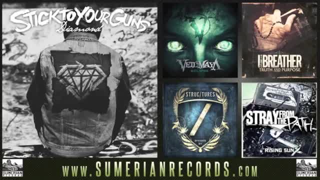 Stick to Your Guns - Such Pain