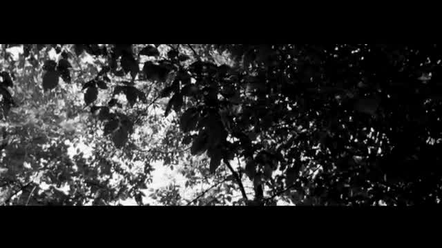 The Afghan Whigs - Lost in the Woods