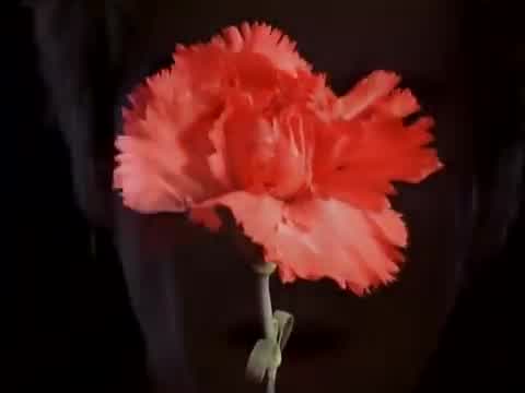 The Psychedelic Furs - Don't Be a Girl