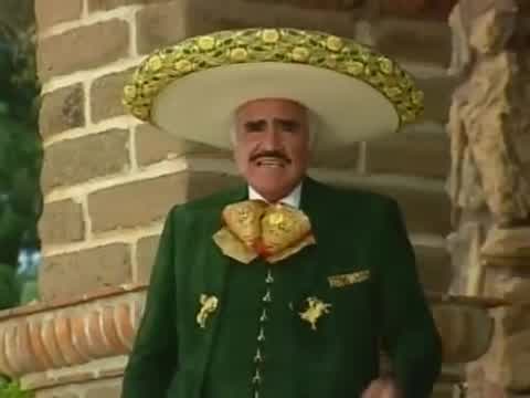 Vicente Fernández - El último en la fila