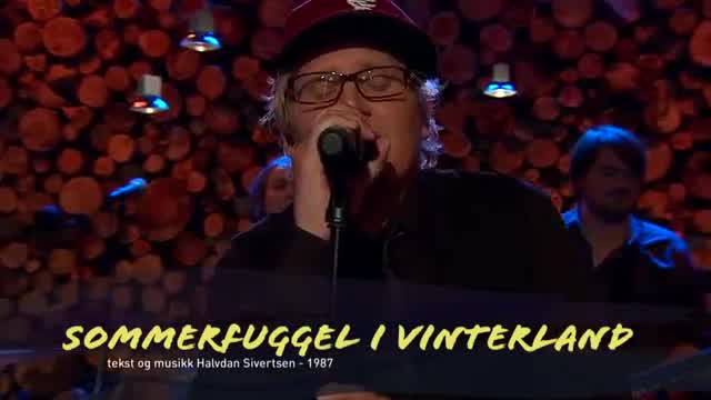 Vinni - Sommerfuggel i vinterland