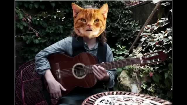 Will Varley - Talking Cat Blues