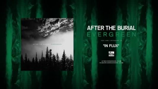 After the Burial - In Flux