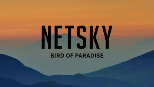 Netsky - Bird of Paradise