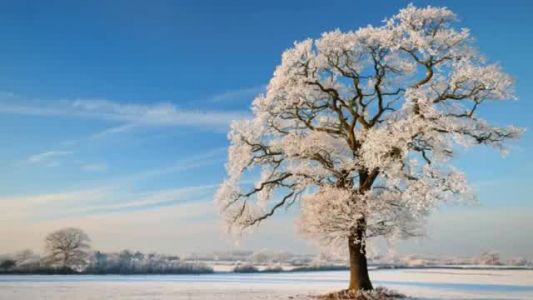Richard Clayderman - Love Song In Winter